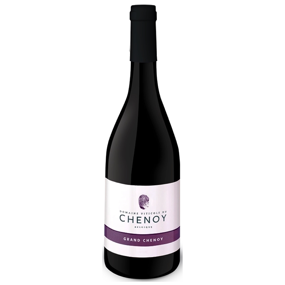 Domaine du Chenoy - Grand Chenoy 75cl (2022)