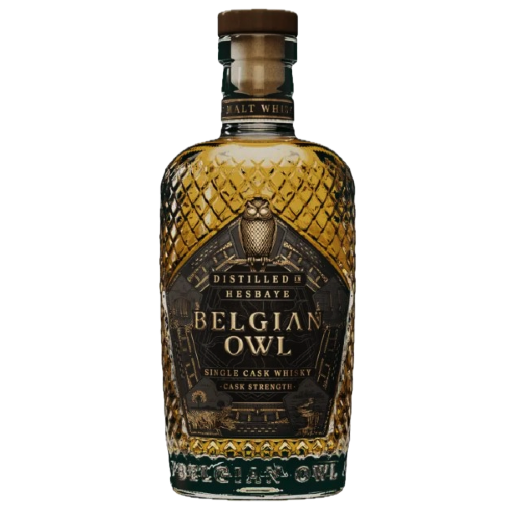 Belgian Owl Intense