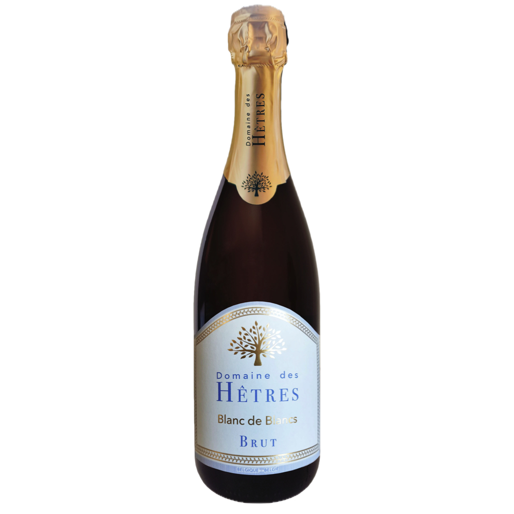 Domaine des Hêtres - Blanc de blancs 75cl (2023)
