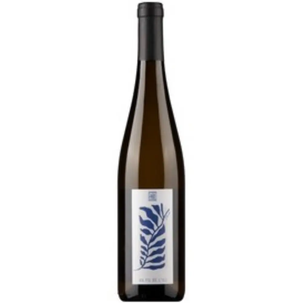 Vignoble du Rêveur - Au Fil de l'Ill 75cl (2023)