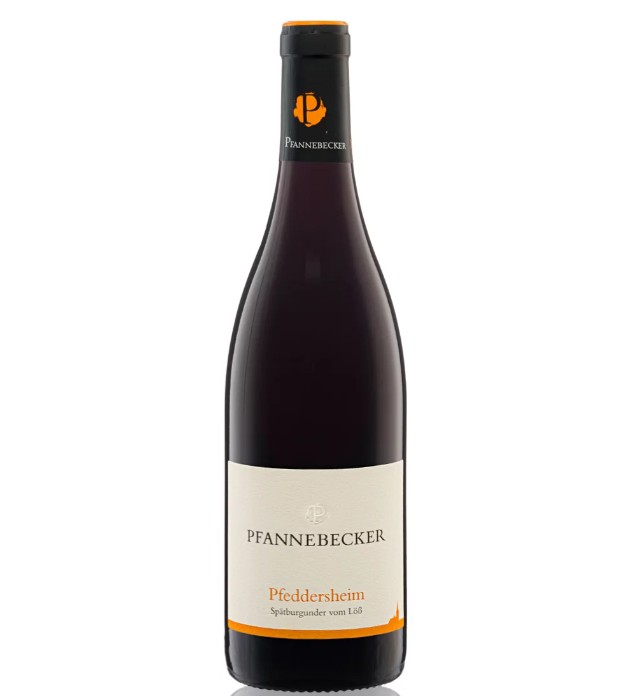 Pfannebecker - Pinot noir Bio 75cl (2015)