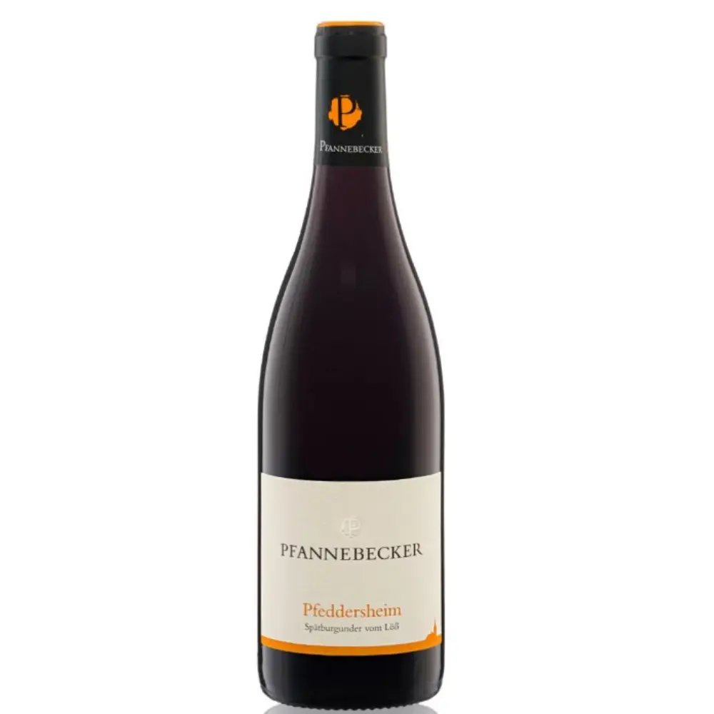 Pfannebecker - Pinot noir Bio 75cl (2015)