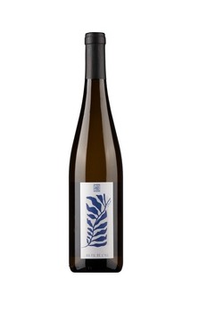 Vignoble du Rêveur - Au Fil de l'Ill 75cl (2023)