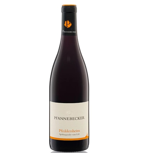 Pfannebecker - Pinot noir Bio 75cl (2015)