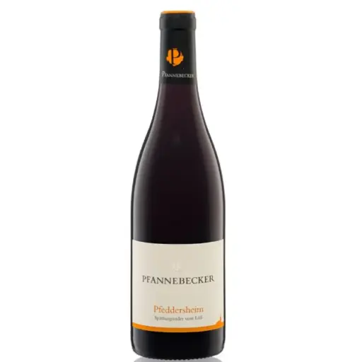 Pfannebecker - Pinot noir Bio 75cl (2015)